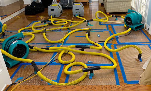 Professional Structural Drying And Dehumidification technician working in Rolesville, NC